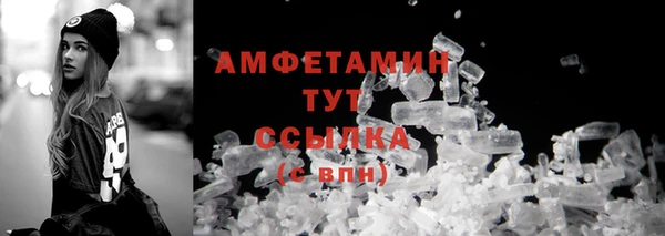 прущие грибы Балабаново