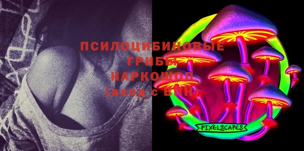 прущие крисы Балахна