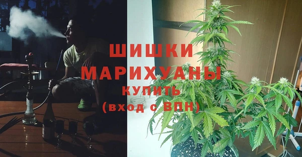 прущие грибы Балабаново