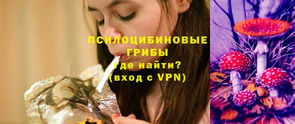 прущие грибы Балабаново