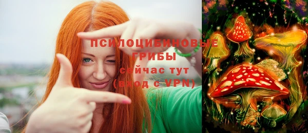 прущие грибы Балабаново