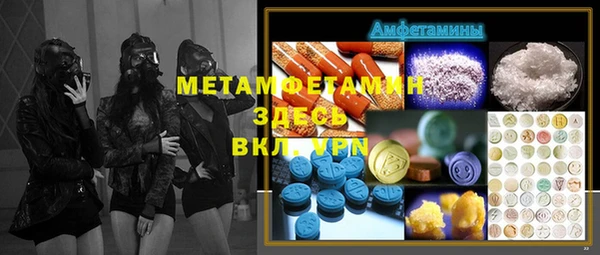 прущие грибы Балабаново