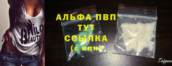 apvp Пересвет