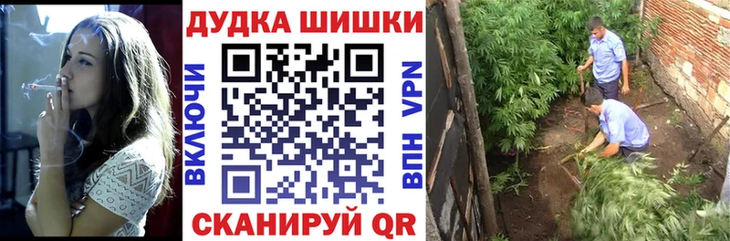 Бошки Шишки MAZAR Белогорск